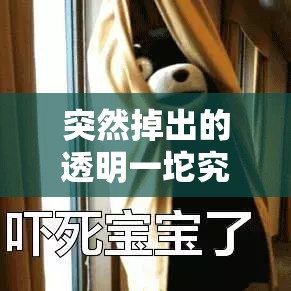 突然掉出的透明一坨究竟隐藏着怎样的秘密