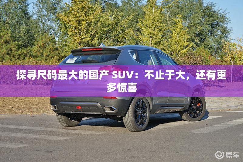 探寻尺码最大的国产 SUV：不止于大，还有更多惊喜
