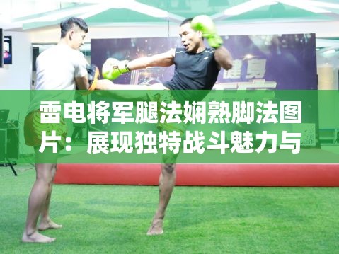 雷电将军腿法娴熟脚法图片：展现独特战斗魅力与力量之美
