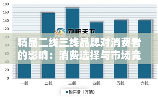 精品二线三线品牌对消费者的影响：消费选择与市场竞争分析