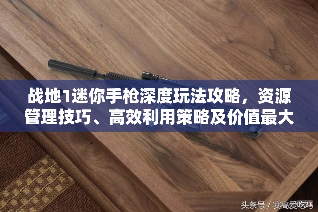 战地1迷你手枪深度玩法攻略，资源管理技巧、高效利用策略及价值最大化指南