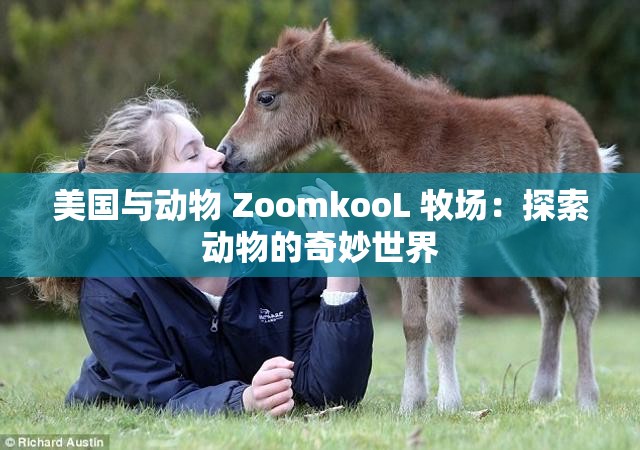 美国与动物 ZoomkooL 牧场：探索动物的奇妙世界