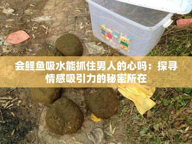 会鲤鱼吸水能抓住男人的心吗：探寻情感吸引力的秘密所在