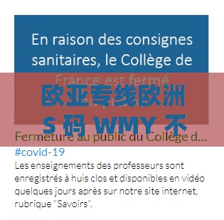 欧亚专线欧洲 S 码 WMY 不知所措：究竟该如何理解与应对