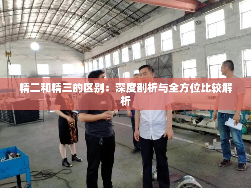 精二和精三的区别：深度剖析与全方位比较解析