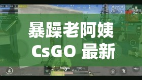 暴躁老阿姨 CsGO 最新章节更新：枪林弹雨的战场