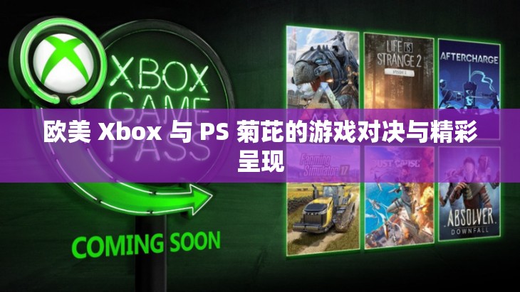 欧美 Xbox 与 PS 菊芘的游戏对决与精彩呈现
