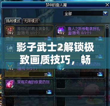 影子武士2解锁极致画质技巧，畅享无与伦比视觉盛宴的心得秘籍