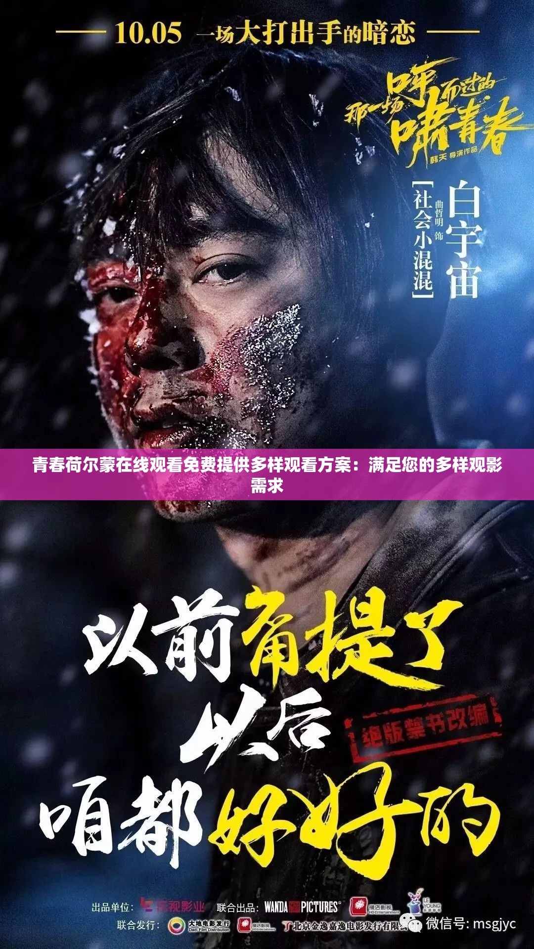 青春荷尔蒙在线观看免费提供多样观看方案：满足您的多样观影需求