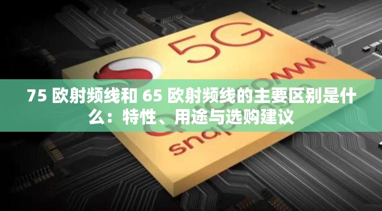 75 欧射频线和 65 欧射频线的主要区别是什么：特性、用途与选购建议