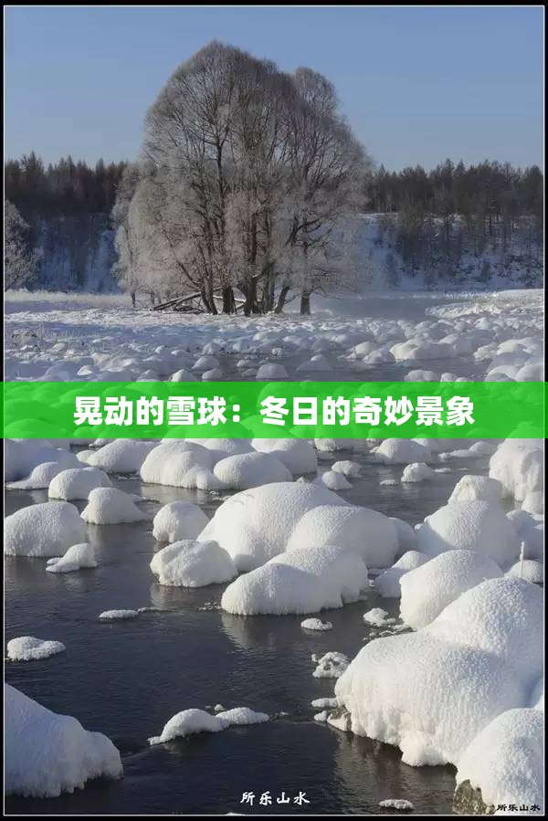 晃动的雪球：冬日的奇妙景象