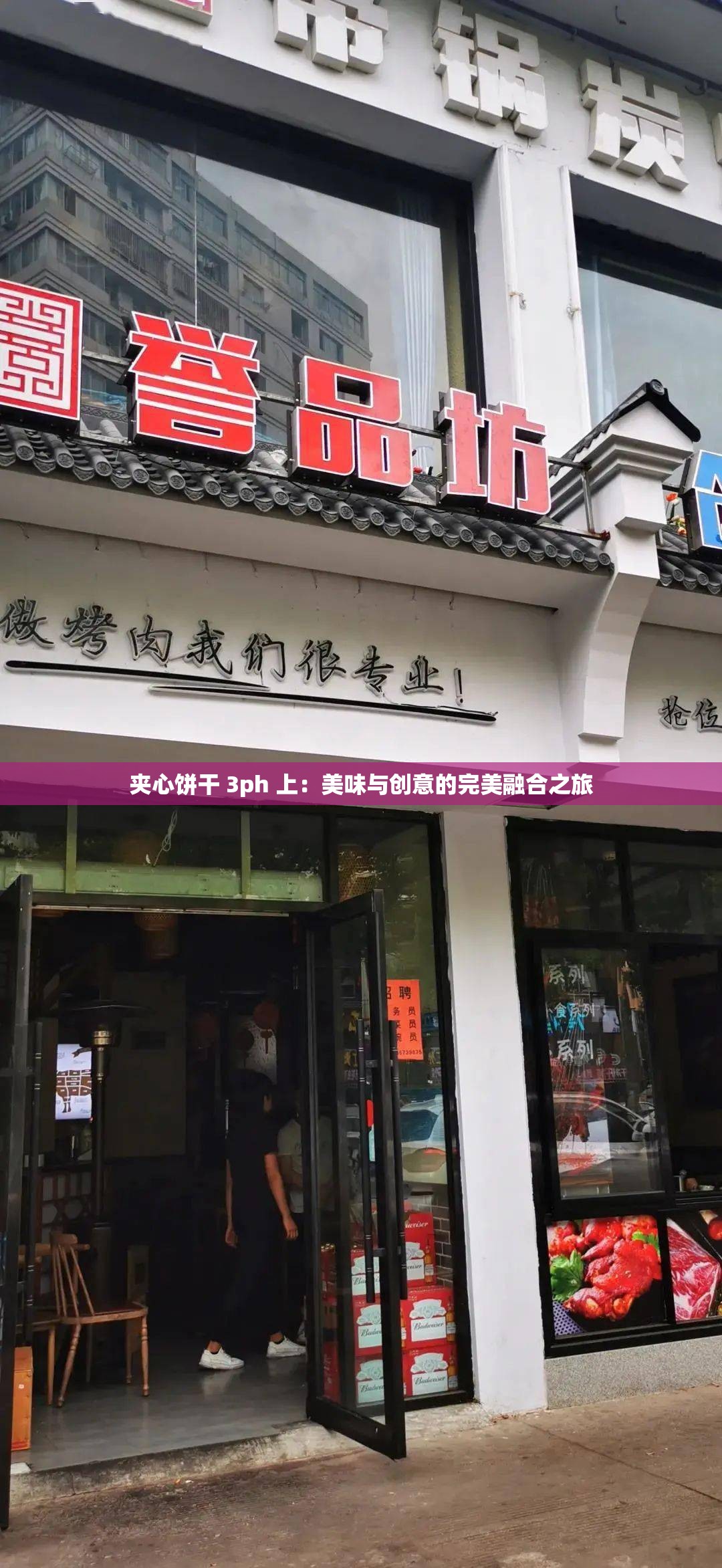 夹心饼干 3ph 上：美味与创意的完美融合之旅