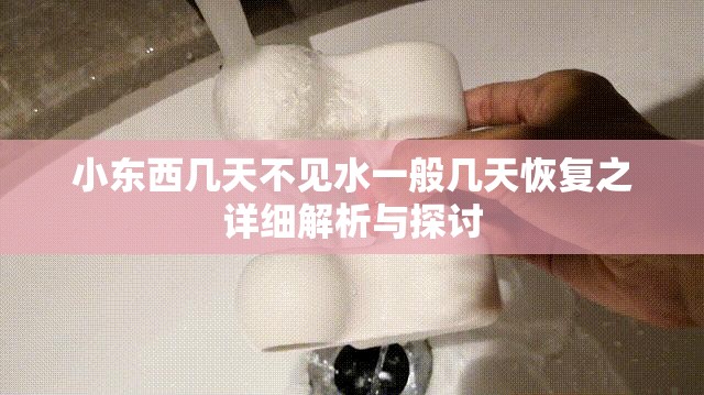 小东西几天不见水一般几天恢复之详细解析与探讨