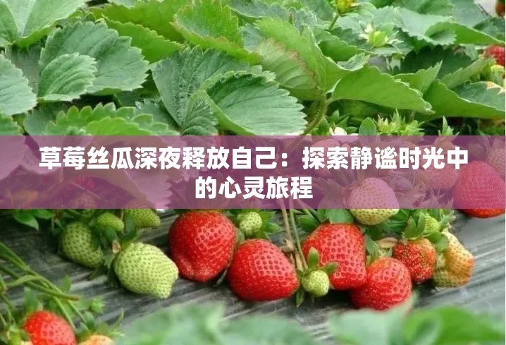 草莓丝瓜深夜释放自己：探索静谧时光中的心灵旅程