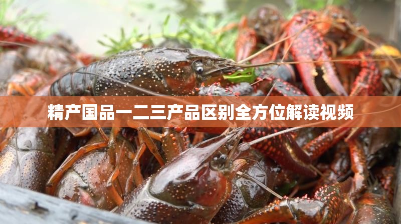精产国品一二三产品区别全方位解读视频