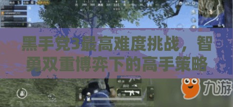 黑手党3最高难度挑战，智勇双重博弈下的高手策略与心得分享