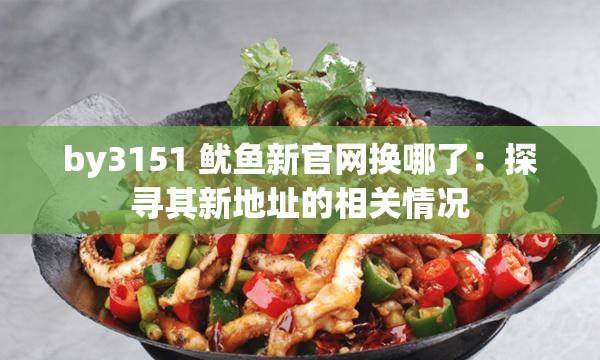 by3151 鱿鱼新官网换哪了：探寻其新地址的相关情况