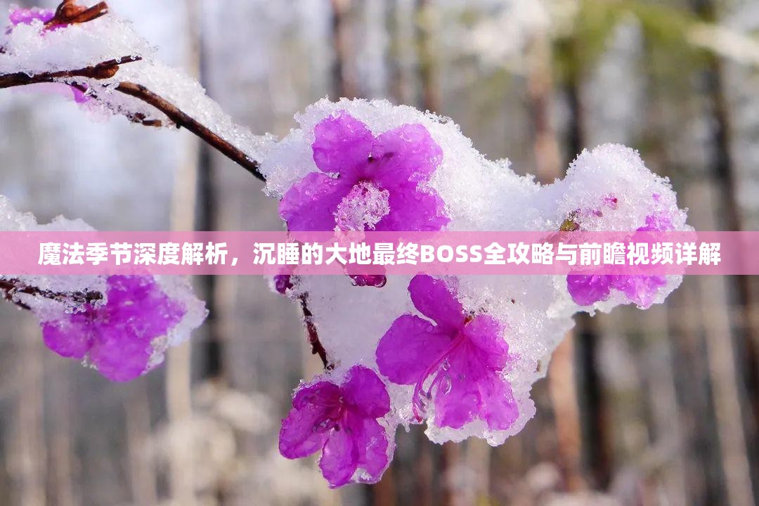 魔法季节深度解析，沉睡的大地最终BOSS全攻略与前瞻视频详解