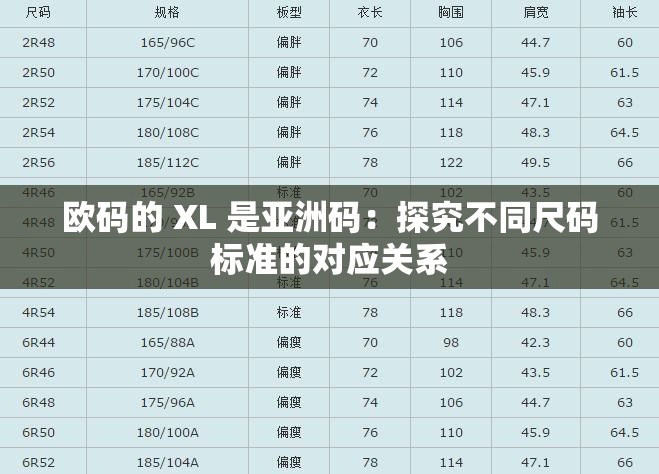 欧码的 XL 是亚洲码：探究不同尺码标准的对应关系