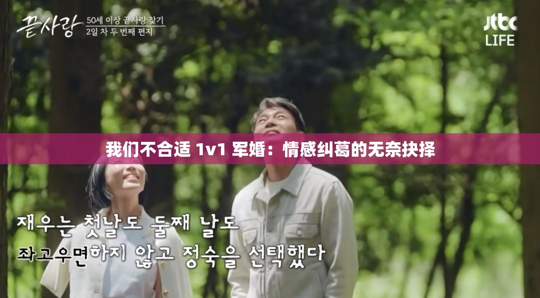 我们不合适 1v1 军婚：情感纠葛的无奈抉择