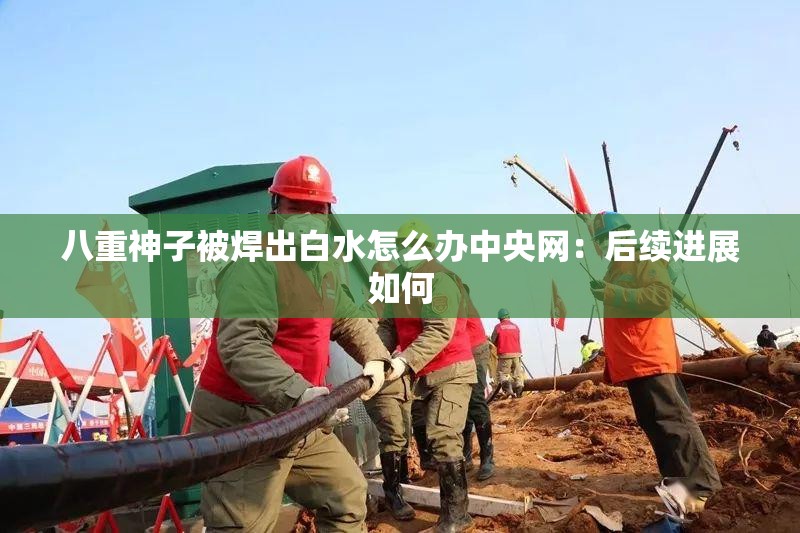 八重神子被焊出白水怎么办中央网：后续进展如何