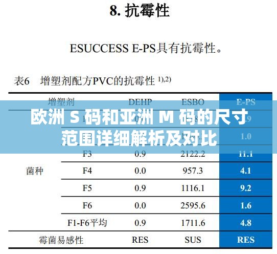 欧洲 S 码和亚洲 M 码的尺寸范围详细解析及对比