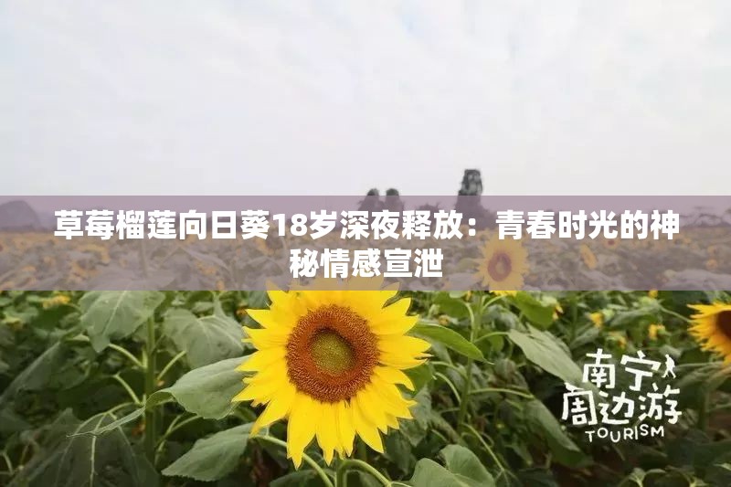草莓榴莲向日葵18岁深夜释放：青春时光的神秘情感宣泄
