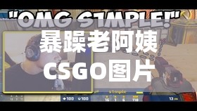暴躁老阿姨CSGO图片高清：展现游戏中的女性魅力风采