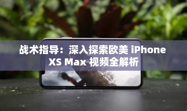 战术指导：深入探索欧美 iPhone XS Max 视频全解析