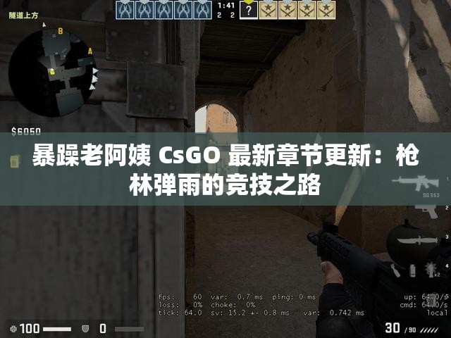 暴躁老阿姨 CsGO 最新章节更新：枪林弹雨的竞技之路