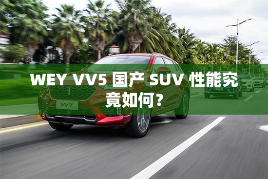 WEY VV5 国产 SUV 性能究竟如何？