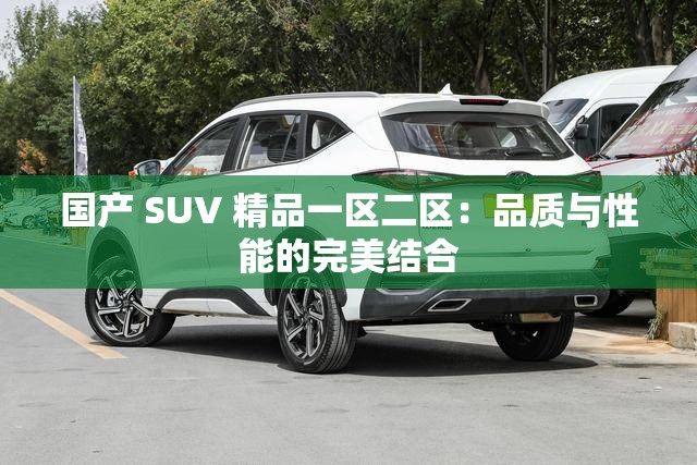 国产 SUV 精品一区二区：品质与性能的完美结合