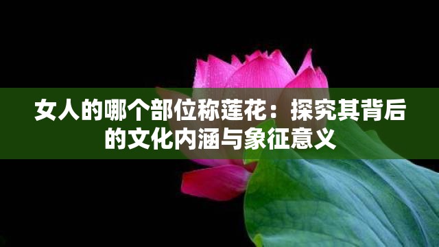 女人的哪个部位称莲花：探究其背后的文化内涵与象征意义