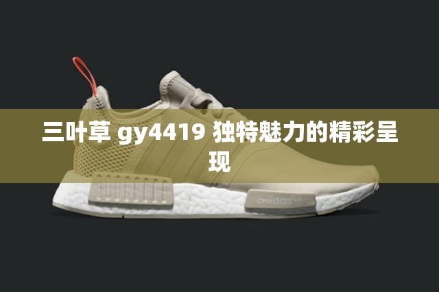 三叶草 gy4419 独特魅力的精彩呈现