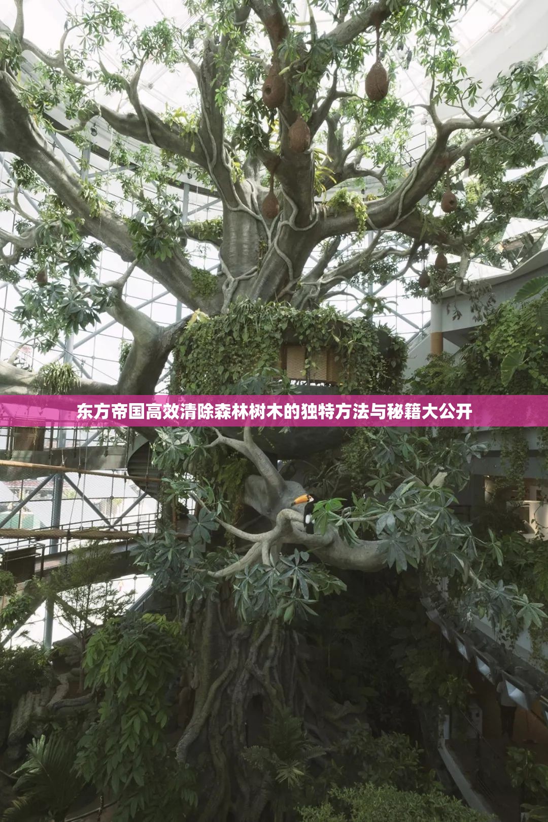 东方帝国高效清除森林树木的独特方法与秘籍大公开