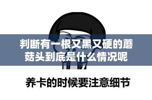 判断有一根又黑又硬的蘑菇头到底是什么情况呢