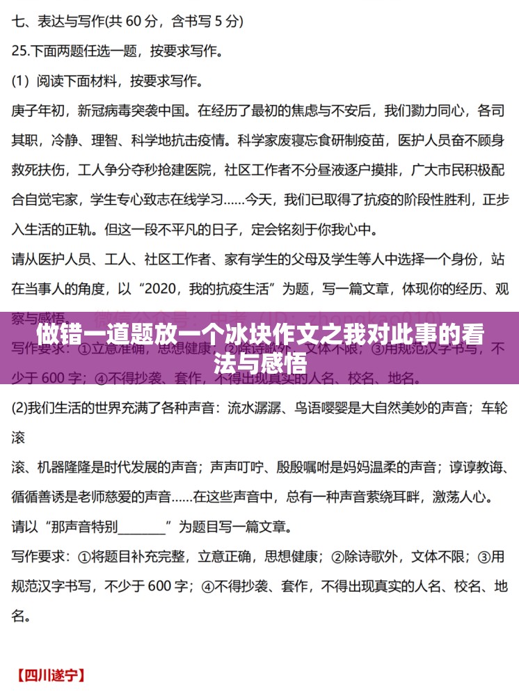 做错一道题放一个冰块作文之我对此事的看法与感悟