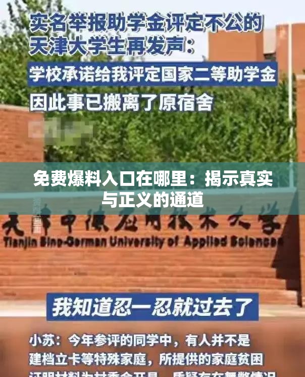 免费爆料入口在哪里：揭示真实与正义的通道