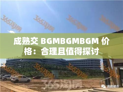 成熟交 BGMBGMBGM 价格：合理且值得探讨