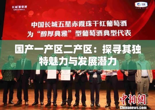 国产一产区二产区：探寻其独特魅力与发展潜力