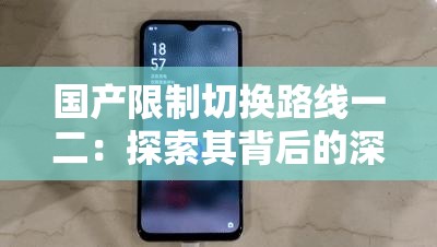 国产限制切换路线一二：探索其背后的深层意义与影响