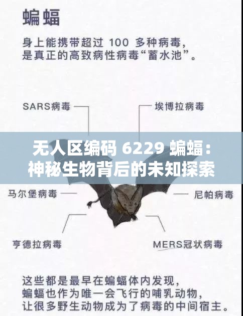 无人区编码 6229 蝙蝠：神秘生物背后的未知探索之旅