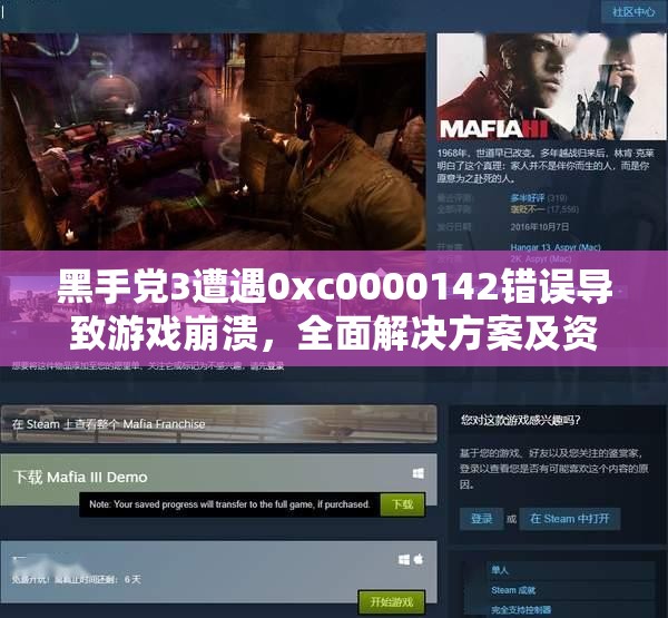 黑手党3遭遇0xc0000142错误导致游戏崩溃，全面解决方案及资源管理优化指南