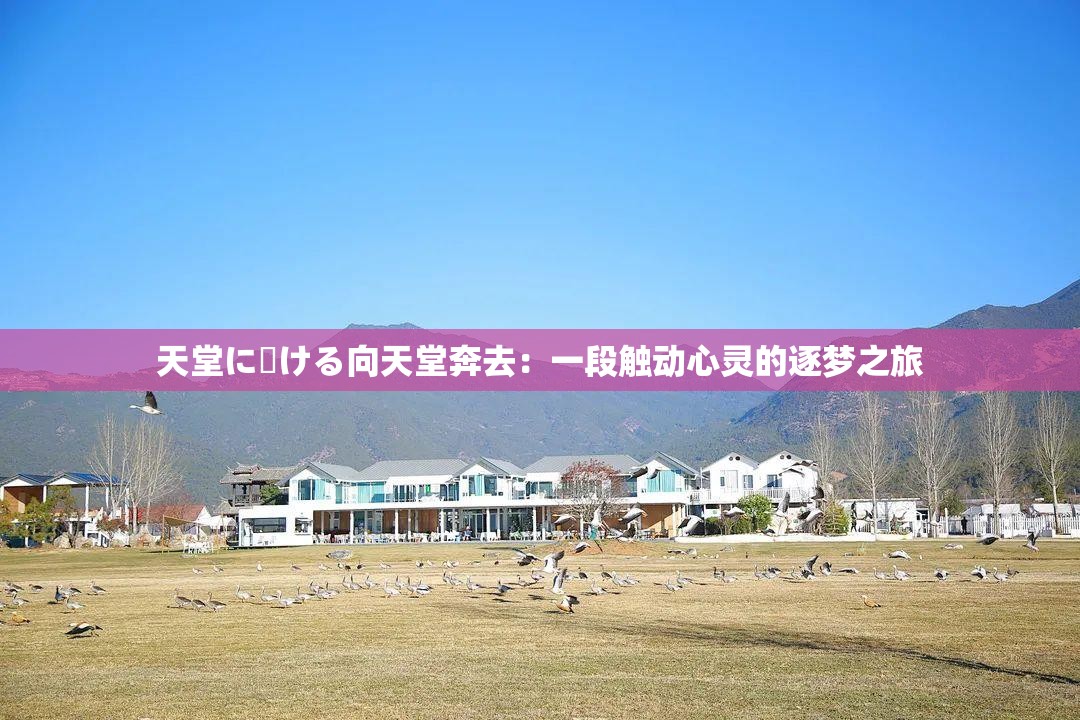 天堂に駆ける向天堂奔去：一段触动心灵的逐梦之旅
