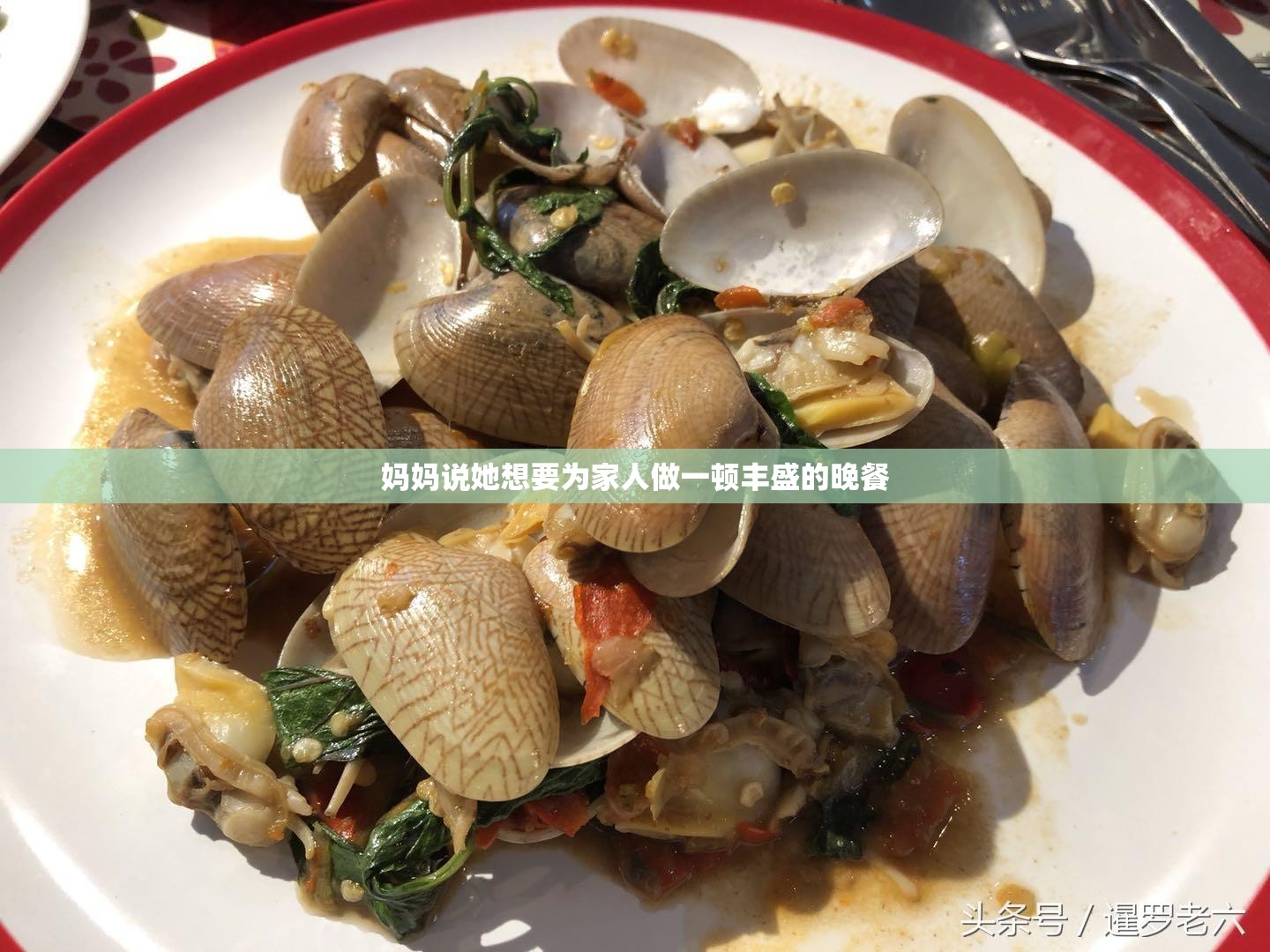 妈妈说她想要为家人做一顿丰盛的晚餐