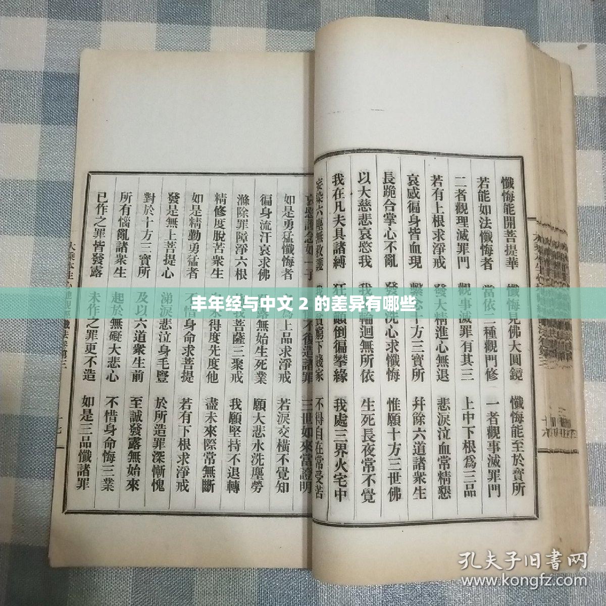 丰年经与中文 2 的差异有哪些