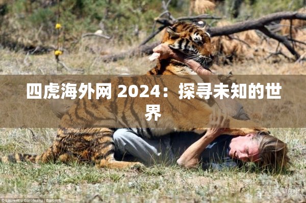 四虎海外网 2024：探寻未知的世界