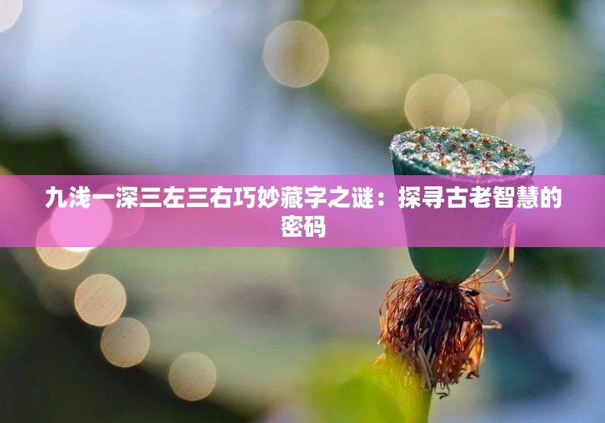 九浅一深三左三右巧妙藏字之谜：探寻古老智慧的密码