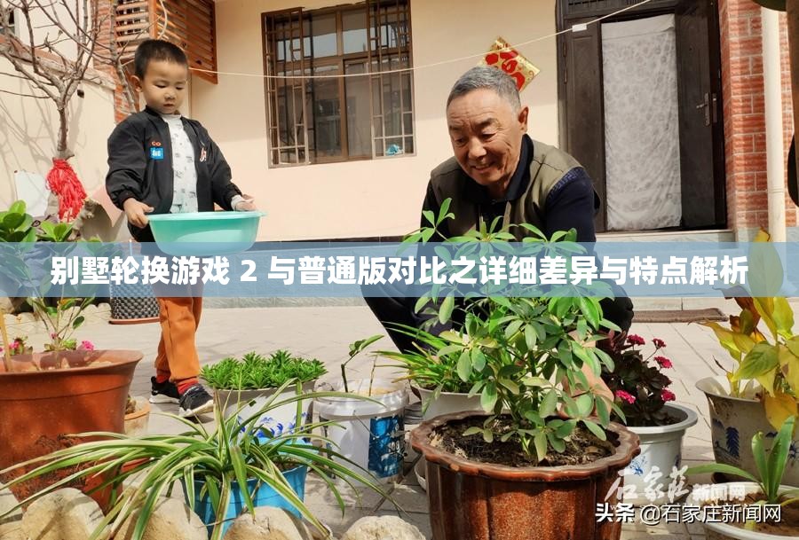 别墅轮换游戏 2 与普通版对比之详细差异与特点解析