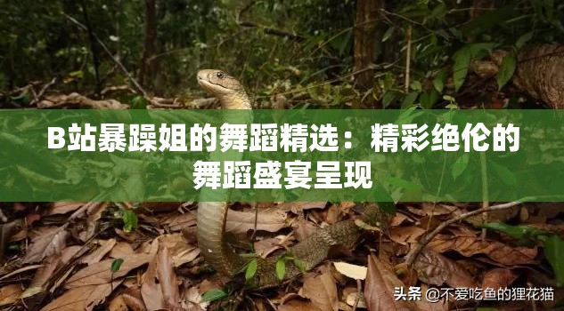 B站暴躁姐的舞蹈精选：精彩绝伦的舞蹈盛宴呈现